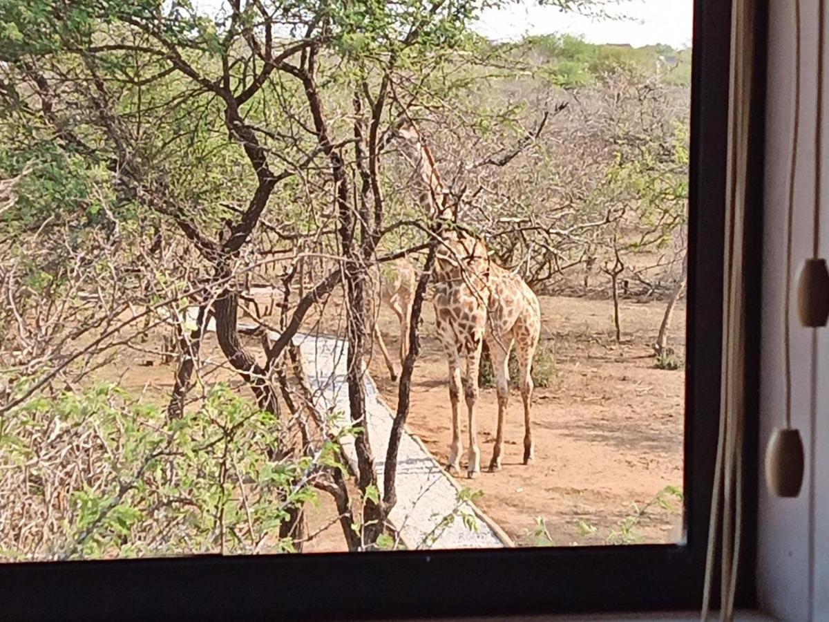 Marloth Kruger View Appartement Marloth Park Buitenkant foto