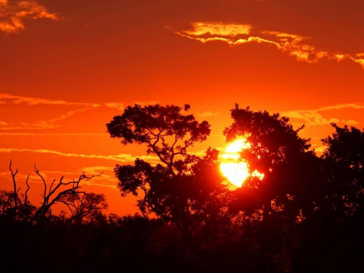 Marloth Kruger View Appartement Marloth Park Buitenkant foto