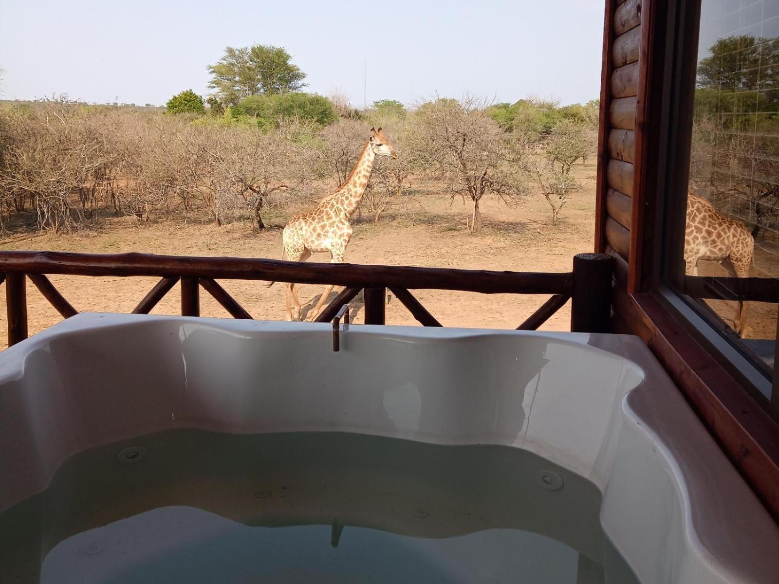 Marloth Kruger View Appartement Marloth Park Buitenkant foto