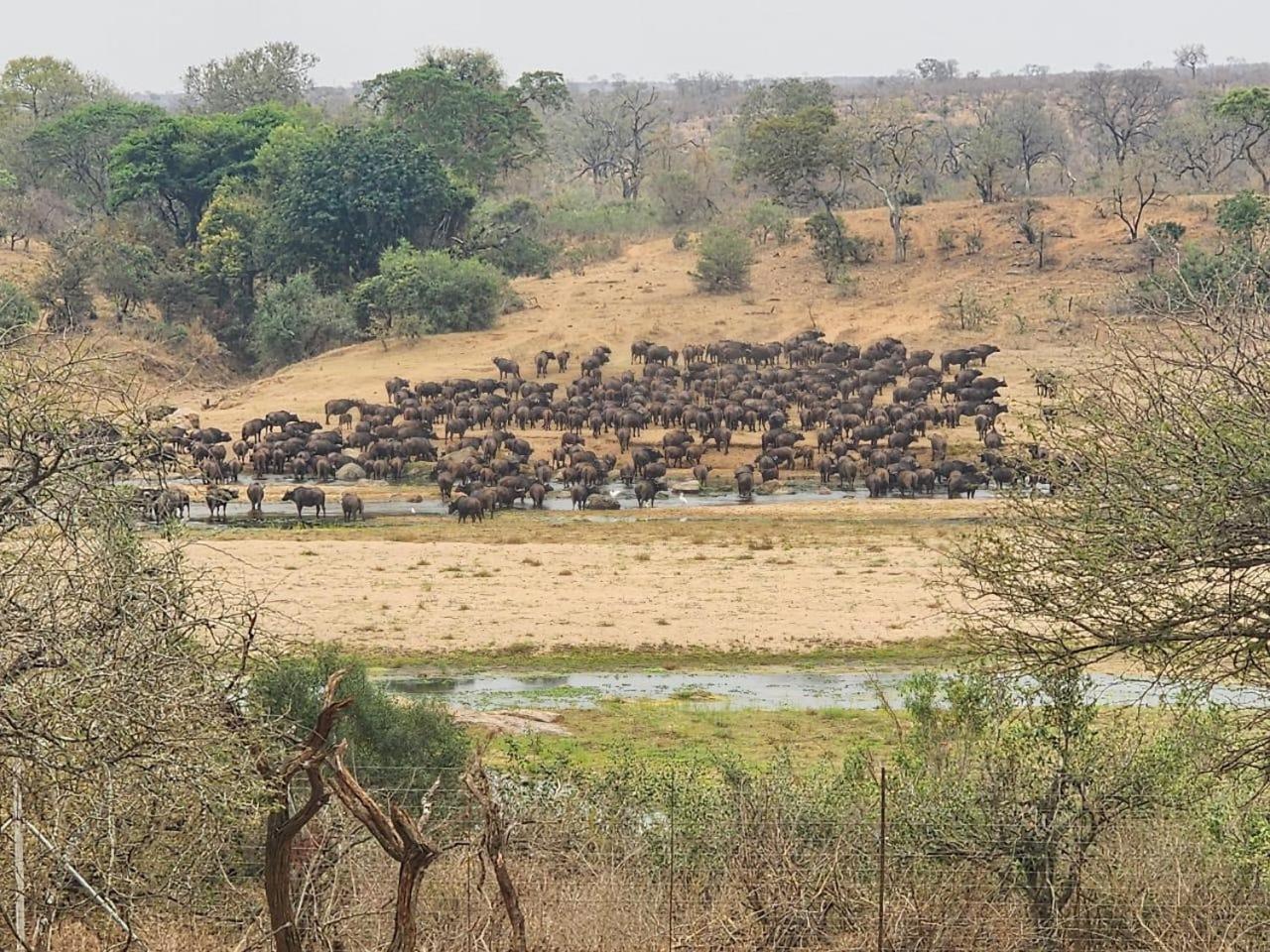 Marloth Kruger View Appartement Marloth Park Buitenkant foto